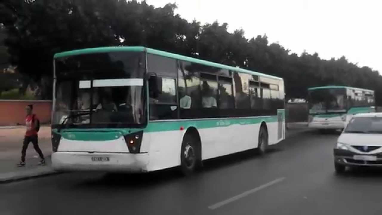 2017/08/حافلة-بالمغرب.jpg