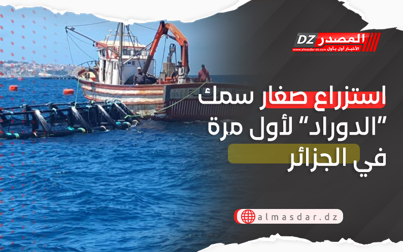 استزراع صغار سمك “الدوراد” لأول مرة في الجزائر
