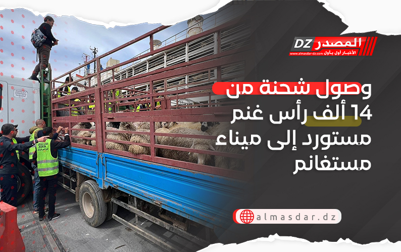 وصول شحنة من 14 ألف رأس غنم مستورد إلى ميناء مستغانم
