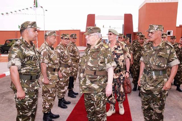 الفريق قايد صالح يتفقد القطاع العملياتي بإن أمناس