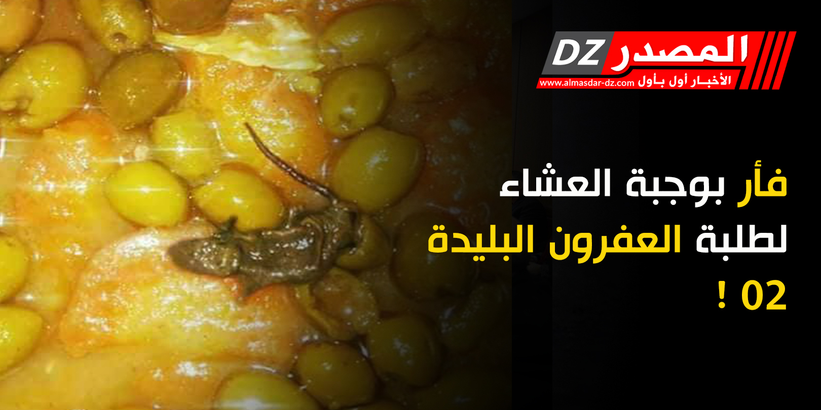 فأر بوجبة العشاء لطلبة العفرون البليدة 02 !