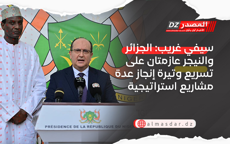 سيفي غريب: الجزائر والنيجر عازمتان على تسريع وتيرة إنجاز عدة مشاريع استراتيجية