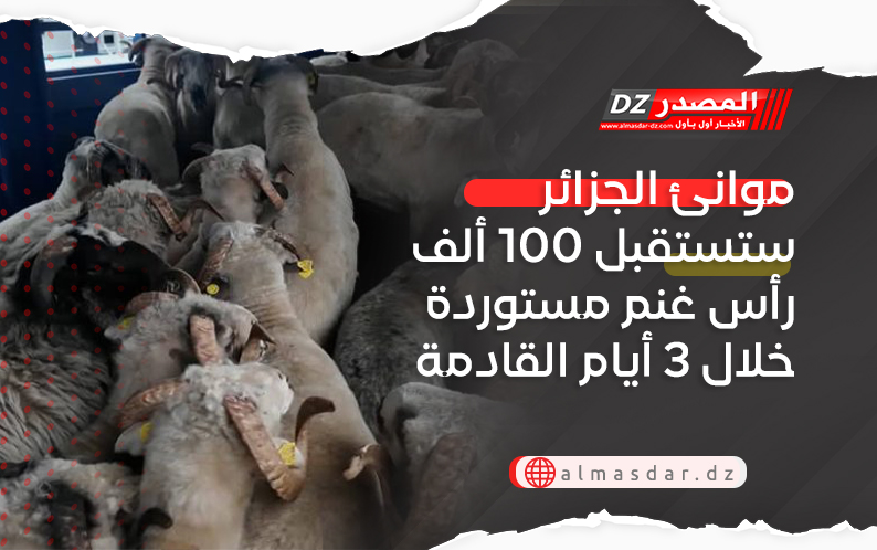 موانئ الجزائر ستستقبل 100 ألف رأس غنم مستوردة خلال 3 أيام القادمة