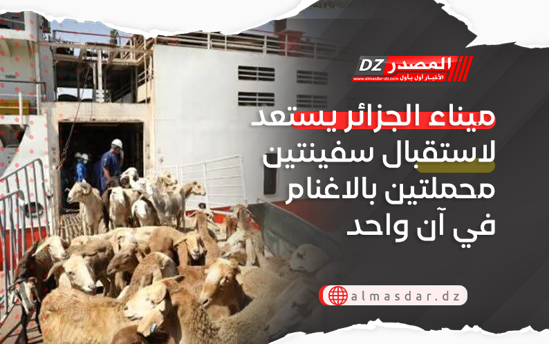 ميناء الجزائر يستعد لاستقبال سفينتين محملتين بالاغنام  في آن واحد