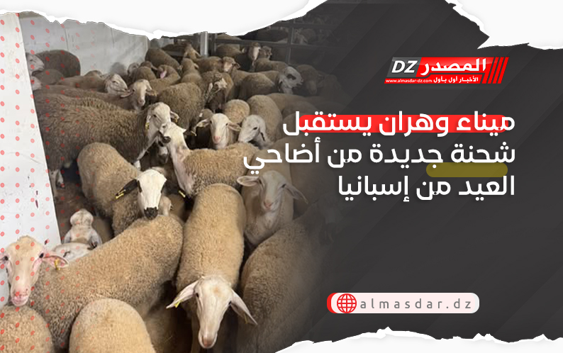 ميناء وهران يستقبل شحنة جديدة من أضاحي العيد من إسبانيا