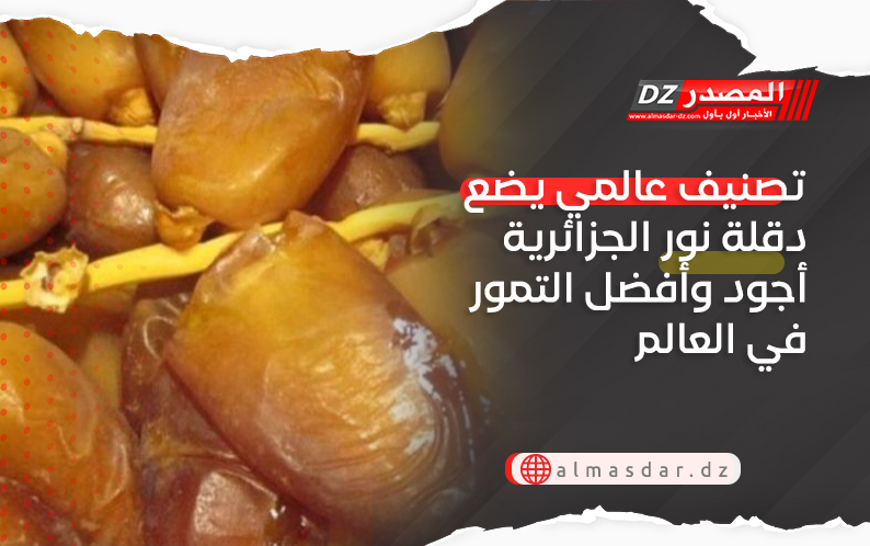 تصنيف عالمي يضع دقلة نور الجزائرية أجود وأفضل التمور في العالم