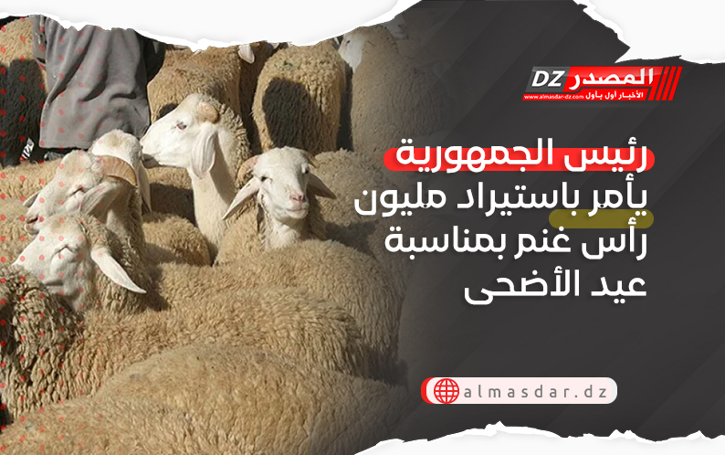 رئيس الجمهورية يأمر باستيراد مليون رأس غنم بمناسبة عيد الأضحى