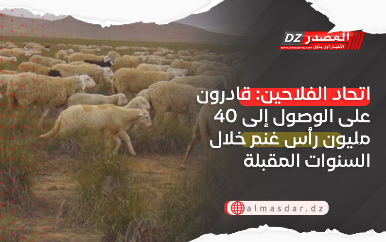 اتحاد الفلاحين: قادرون على الوصول إلى 40 مليون رأس غنم خلال السنوات المقبلة وتحقيق الاكتفاء الذاتي