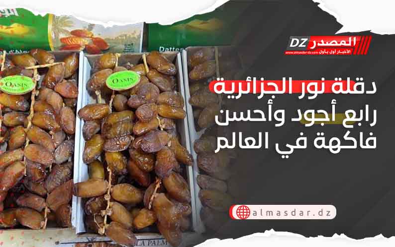 دقلة نور الجزائرية رابع أجود وأحسن فاكهة في العالم