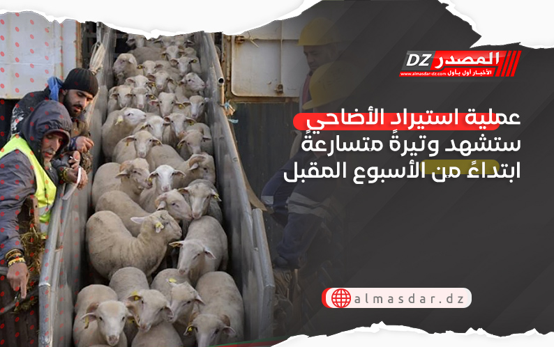 عملية استيراد الأضاحي ستشهد وتيرةً متسارعةً ابتداءً من الأسبوع المقبل