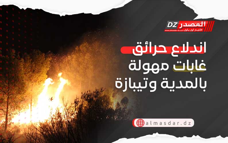 اندلاع حرائق غابات مهولة بالمدية وتيبازة