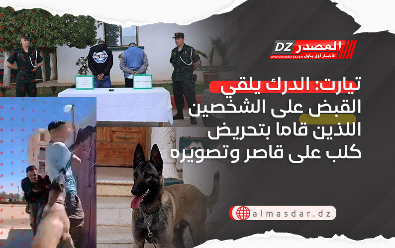 تيارت: الدرك يلقي القبض على الشخصين اللذين قاما بتحريض كلب على قاصر وتصويره