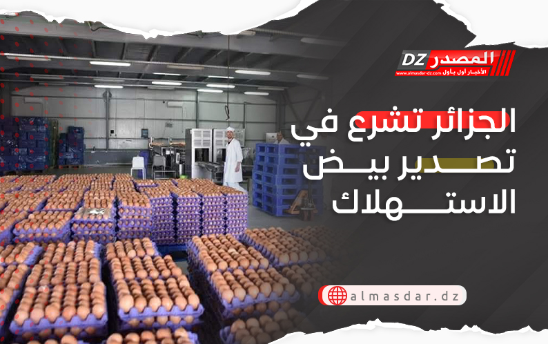 الجزائر تشرع في تصدير بيض الاستهلاك
