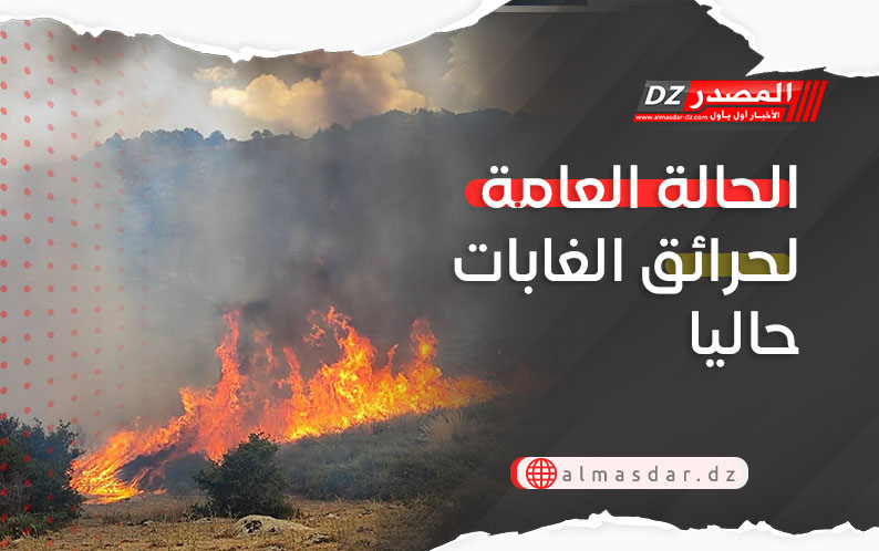 الحالة العامة لحرائق الغابات حاليا