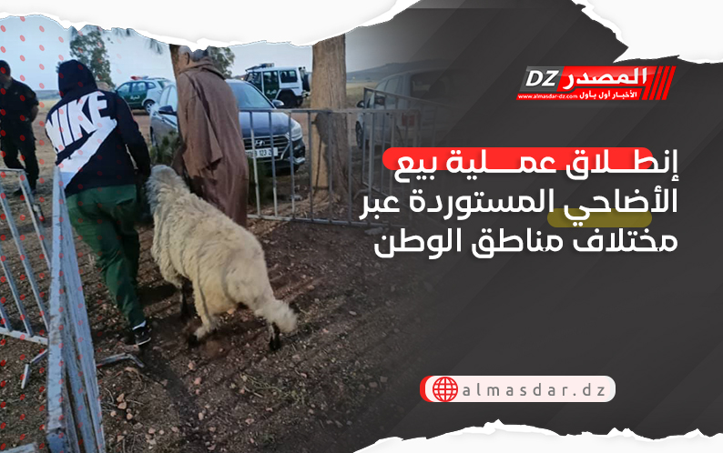 إنطلاق عملية بيع الأضاحي المستوردة عبر مختلاف مناطق الوطن