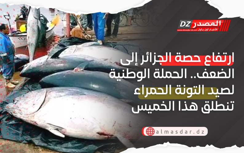 ارتفاع حصة الجزائر إلى الضعف.. الحملة الوطنية لصيد التونة الحمراء تنطلق هذا الخميس