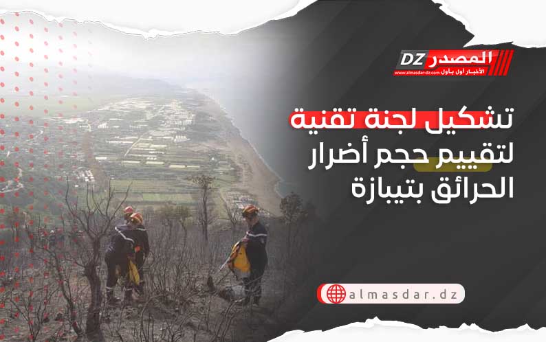 تشكيل لجنة تقنية لتقييم حجم أضرار الحرائق بتيبازة