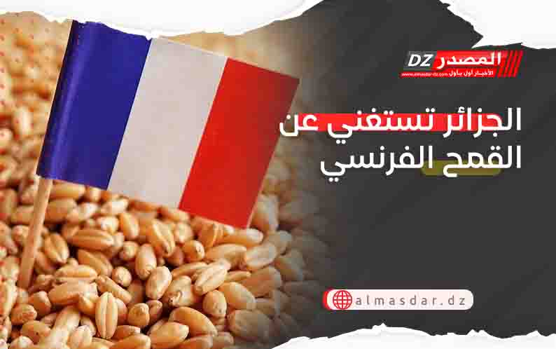 الجزائر تستغني عن القمح الفرنسي