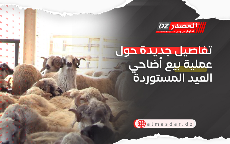 تفاصيل جديدة حول عملية بيع أضاحي العيد المستوردة