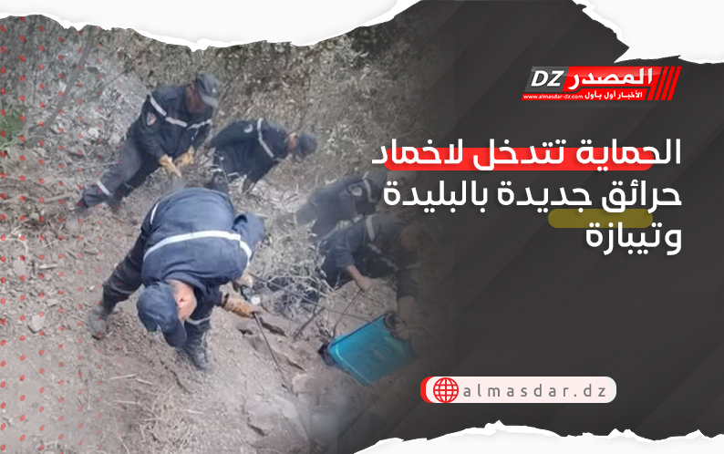 الحماية تتدخل لاخماد حرائق جديدة بالبليدة وتيبازة