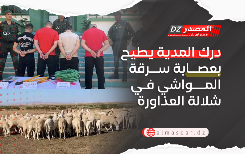 درك المدية يطيح بعصابة سرقة المواشي في شلالة العذاورة