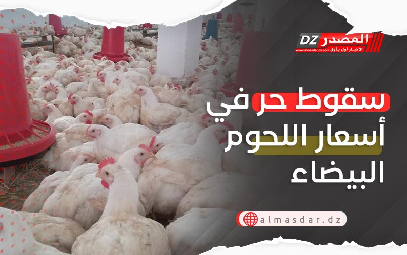 سقوط حر في أسعار اللحوم البيضاء