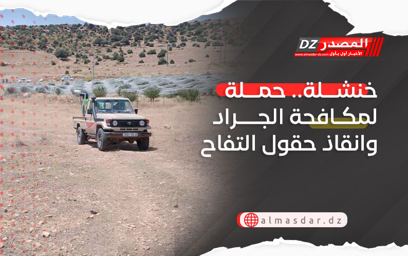 خنشلة.. حملة لمكافحة الجراد وانقاذ حقول التفاح
