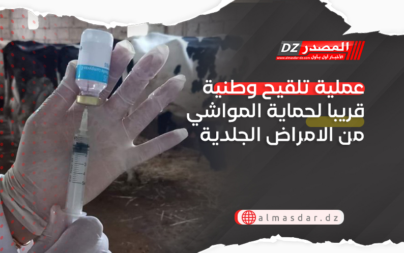 عملية تلقيح وطنية قريبا لحماية المواشي من الامراض الجلدية