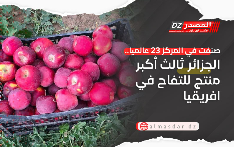 صنفت في المركز 23 عالميا.. الجزائر ثالث أكبر منتج للتفاح في افريقيا