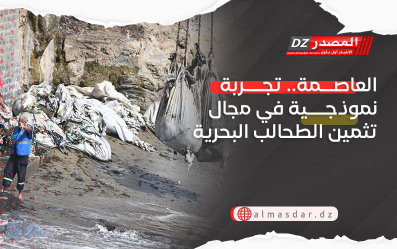 العاصمة.. تجربة نموذجية في مجال تثمين الطحالب البحرية